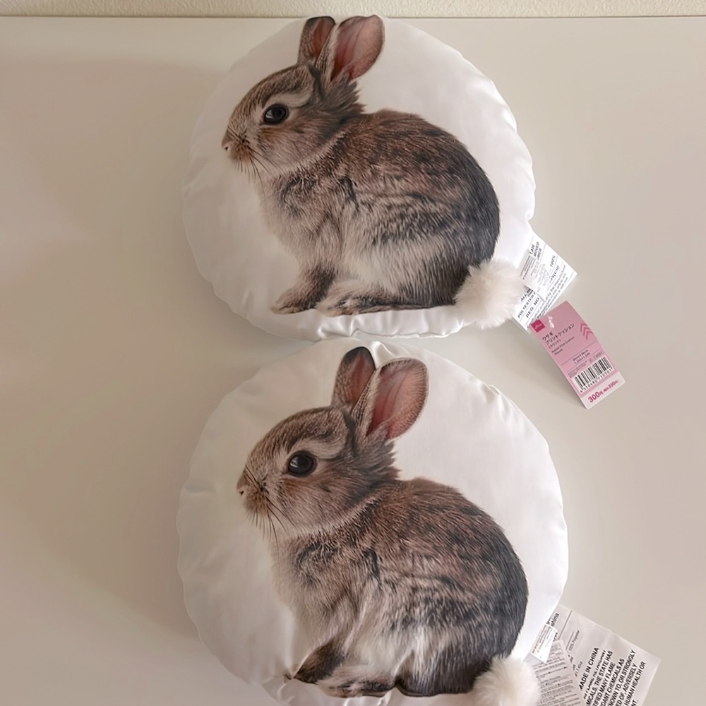 🐰Two Adorable Bunny Print Cushions